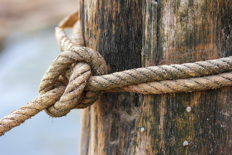 The image shows a rope being tied around a thick piece of wood. It represents the cabling and bracing service that this Tree Service company performs